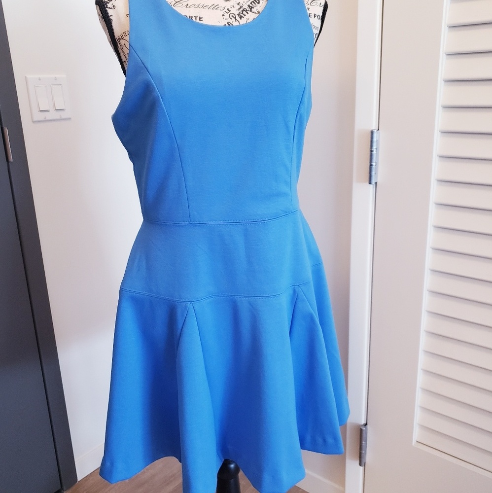 BANANA REPUBLIC Petite Fit n Flare Blue Dress